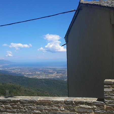 Gite La Fontaine Corse Loreto-di-Casinca Exteriör bild