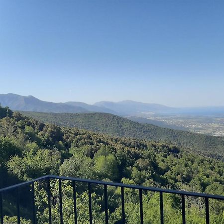 Gite La Fontaine Corse Loreto-di-Casinca Rum bild