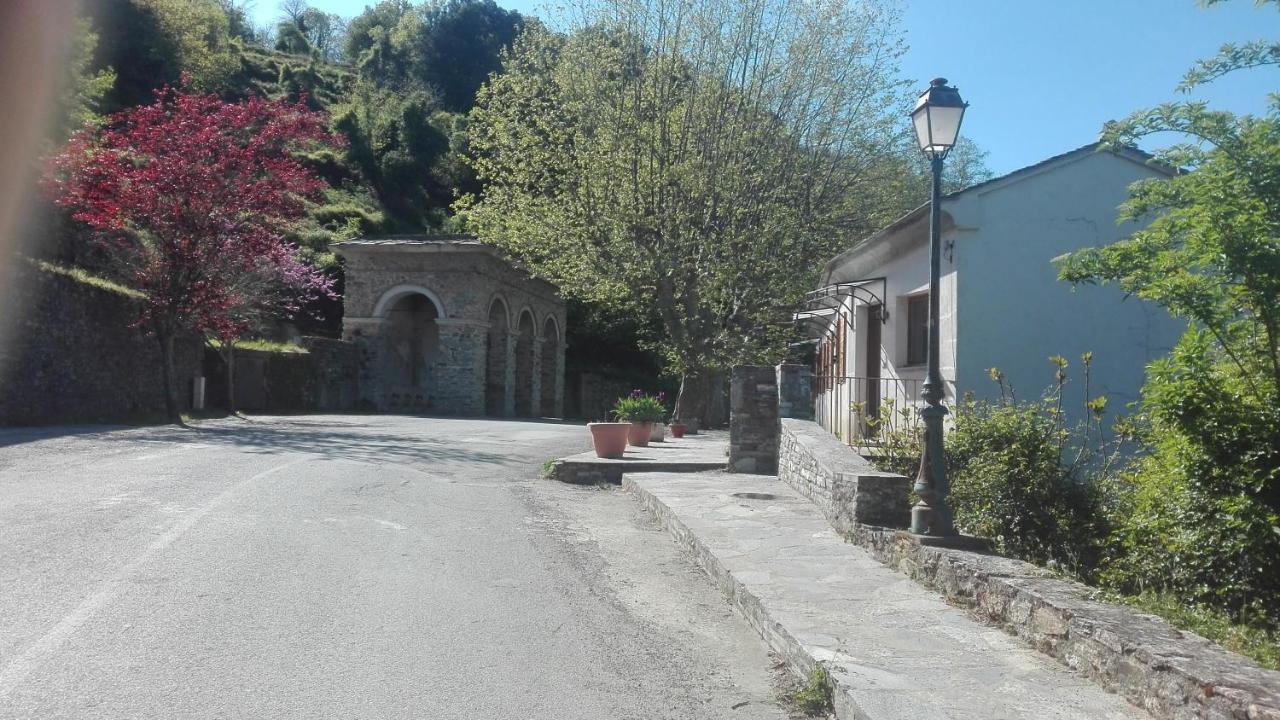 Gite La Fontaine Corse Loreto-di-Casinca Exteriör bild