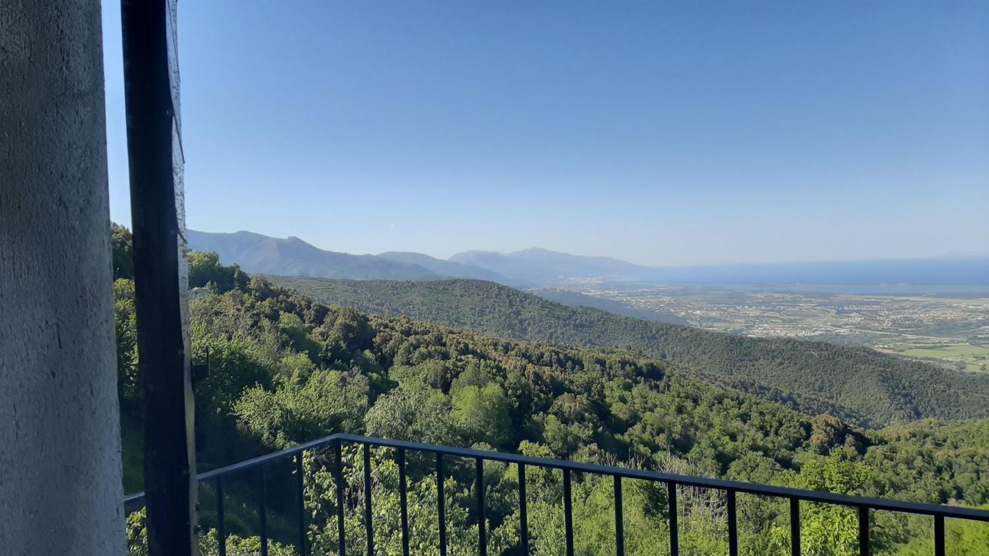 Gite La Fontaine Corse Loreto-di-Casinca Rum bild