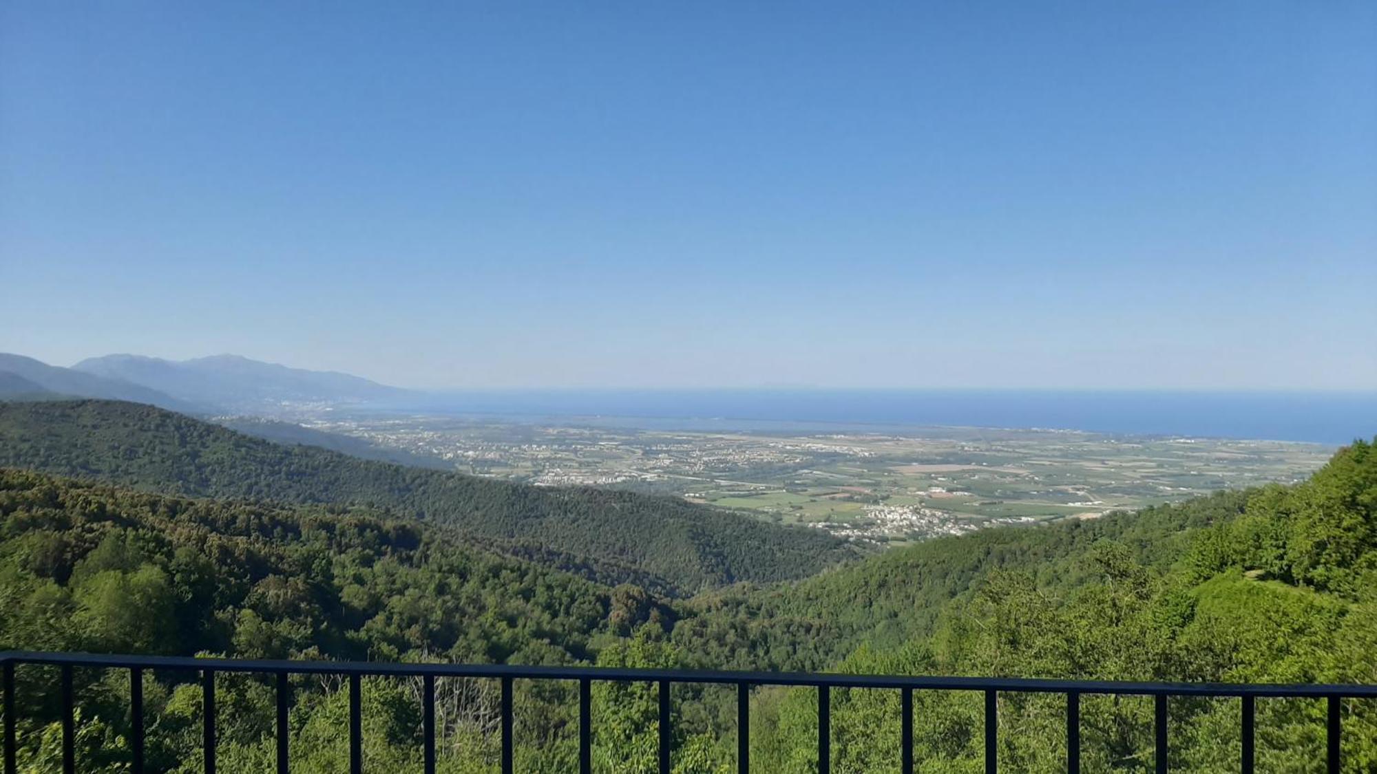 Gite La Fontaine Corse Loreto-di-Casinca Rum bild