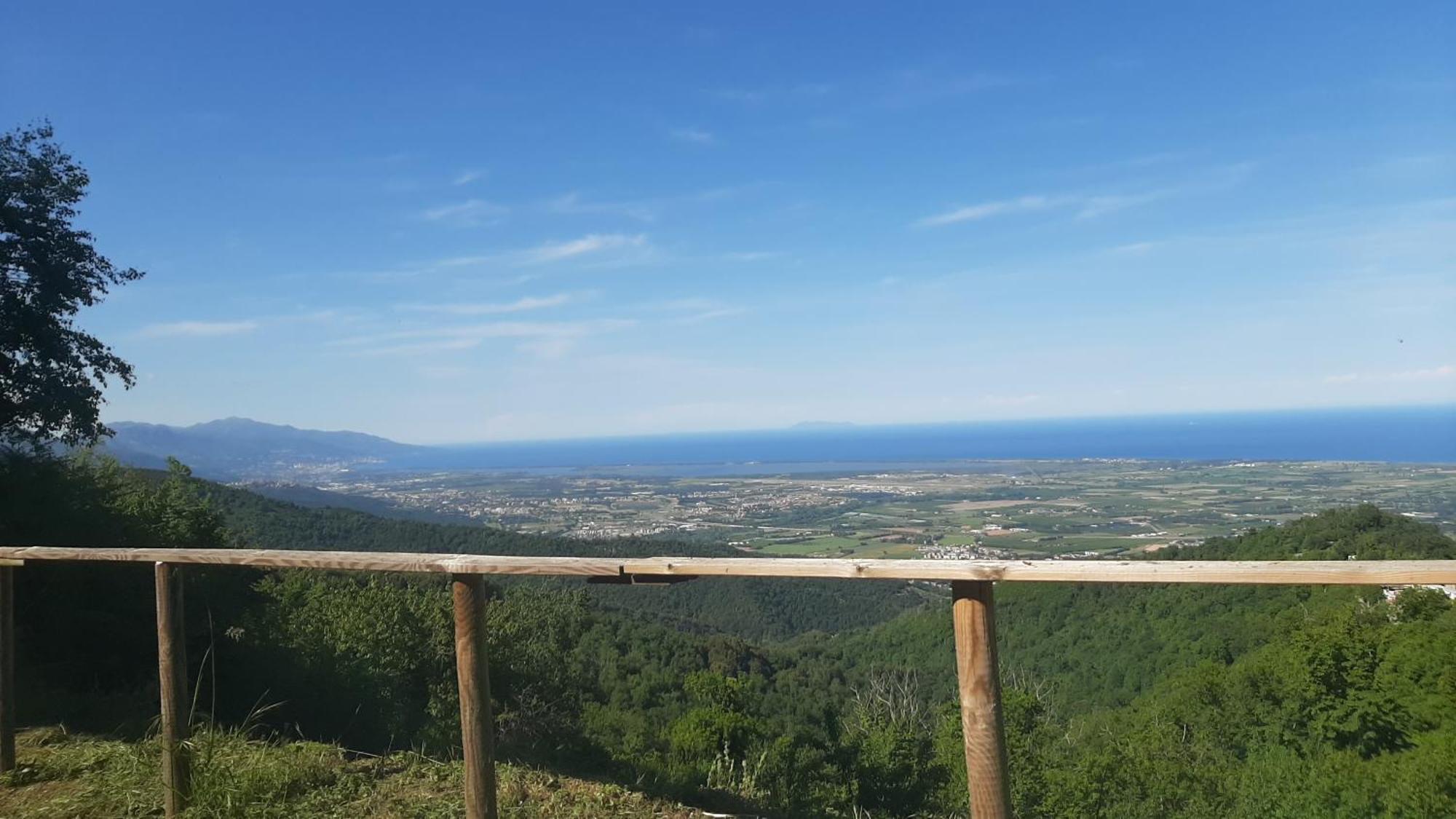 Gite La Fontaine Corse Loreto-di-Casinca Rum bild