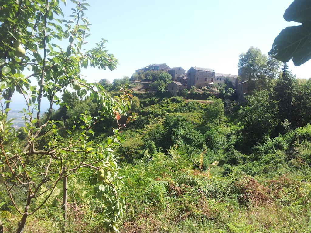 Gite La Fontaine Corse Loreto-di-Casinca Rum bild