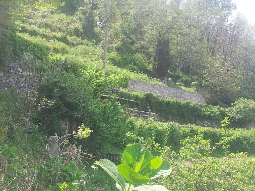 Gite La Fontaine Corse Loreto-di-Casinca Rum bild