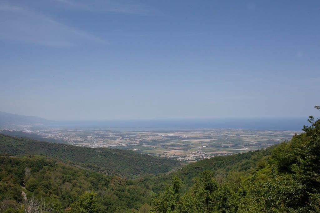 Gite La Fontaine Corse Loreto-di-Casinca Rum bild