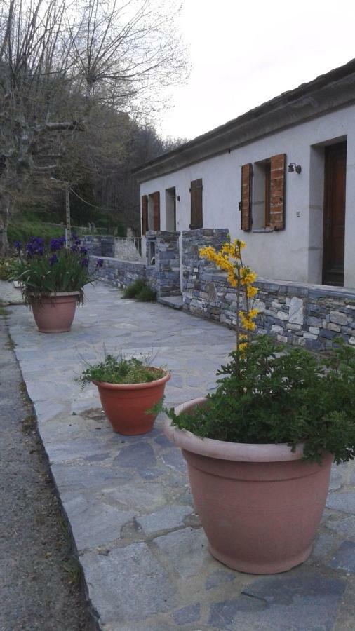 Gite La Fontaine Corse Loreto-di-Casinca Exteriör bild