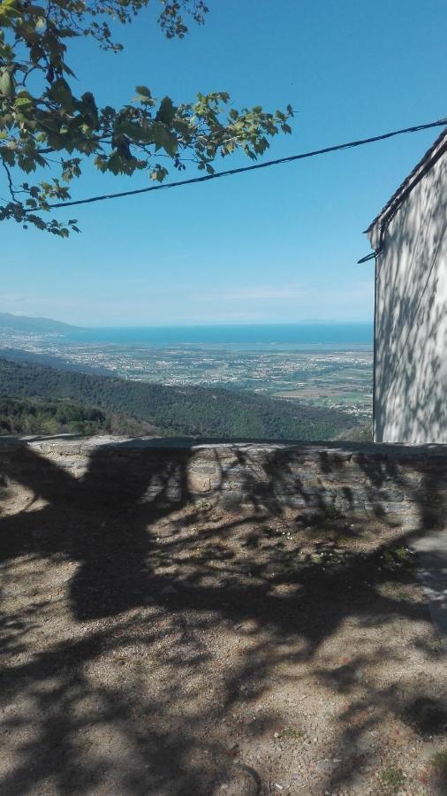 Gite La Fontaine Corse Loreto-di-Casinca Exteriör bild
